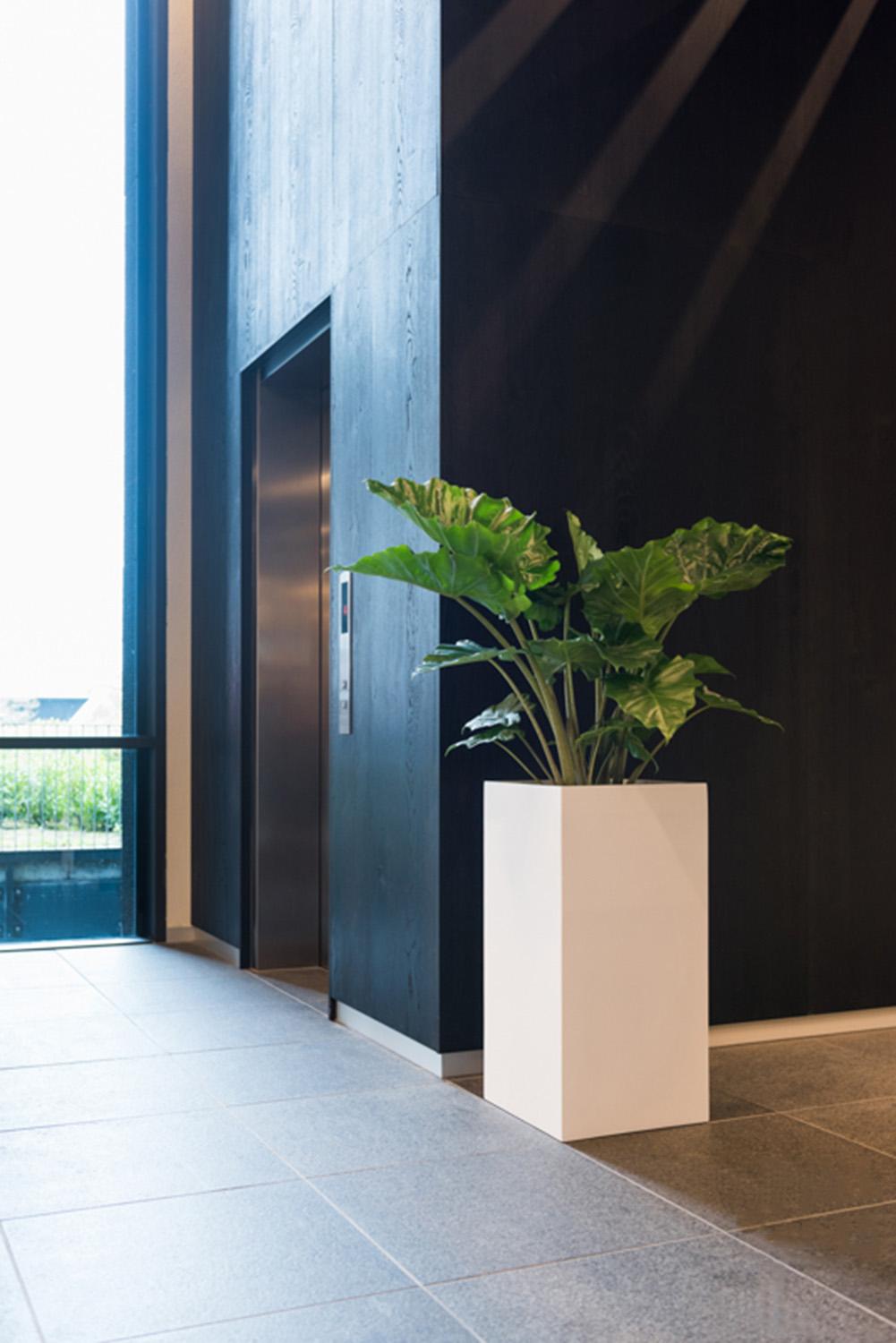 Tall Fiberstone Square Planter by Idealist Premium BOUVY