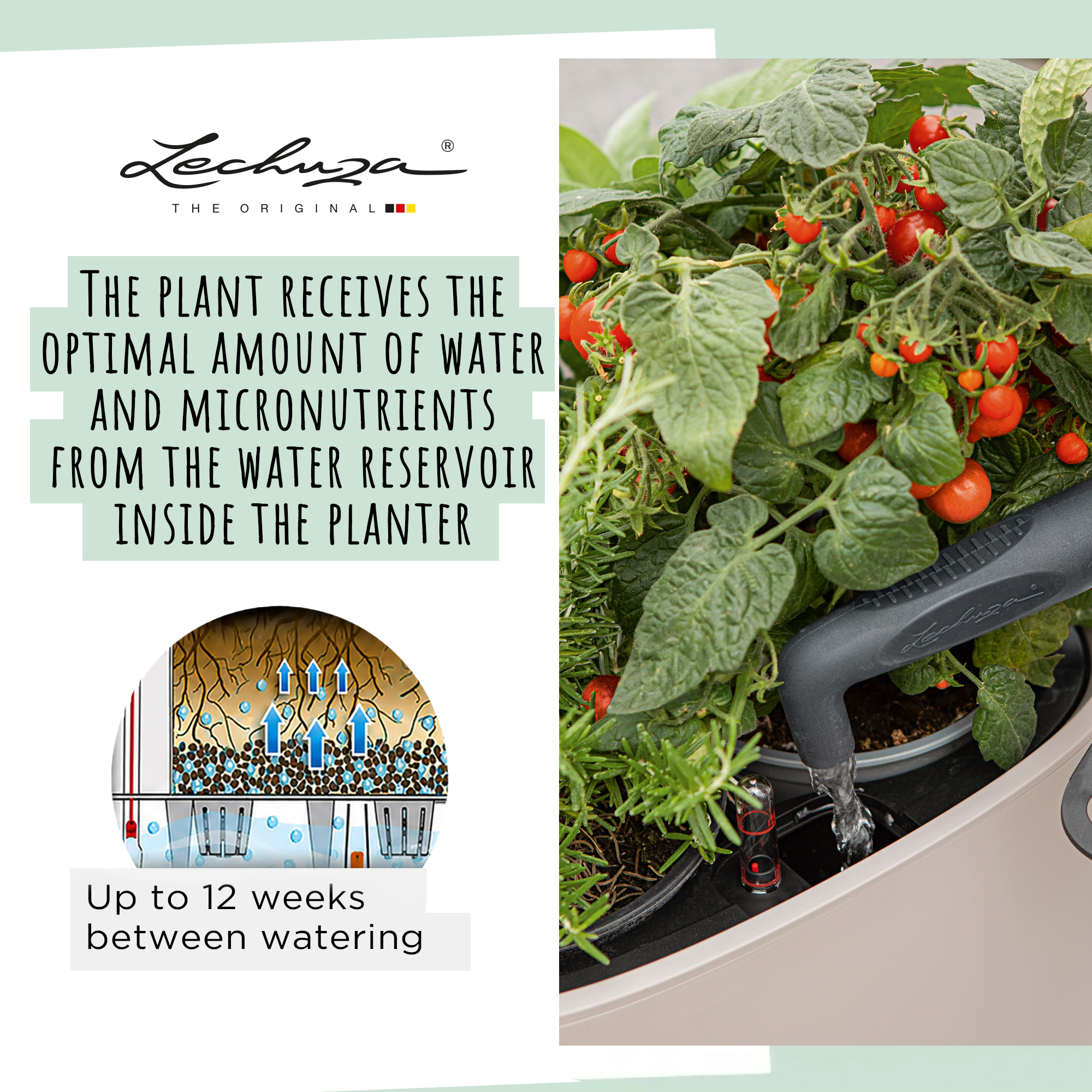 LECHUZA PILA Color Square Poly Resin Self-watering Planter