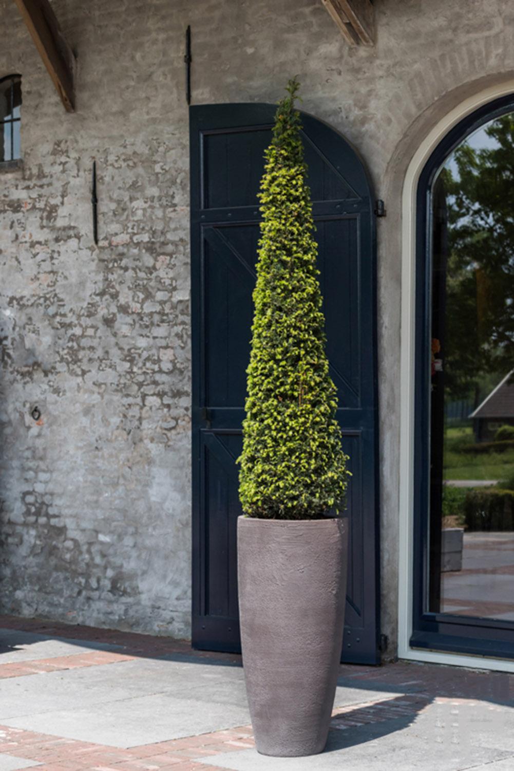 Fibrestone Dax Tall Planter by Idealist Premium