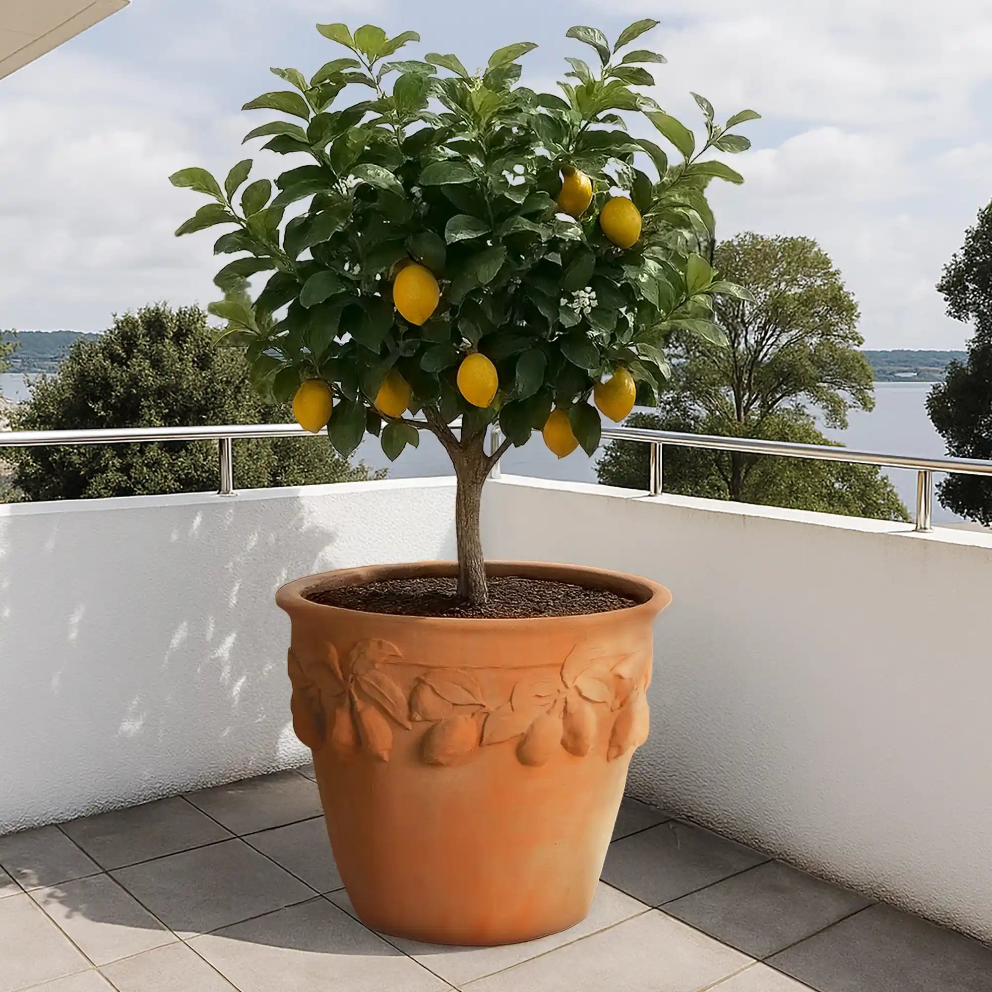 Citrus Fiberglass Round Tall Terracotta Planter Pot In/Out