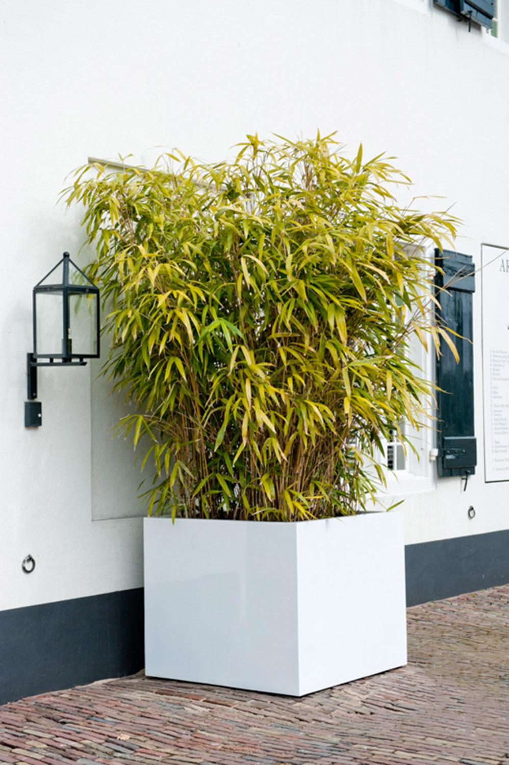 Square Fiberstone Planter by Idealist Premium JUMBO Glossy