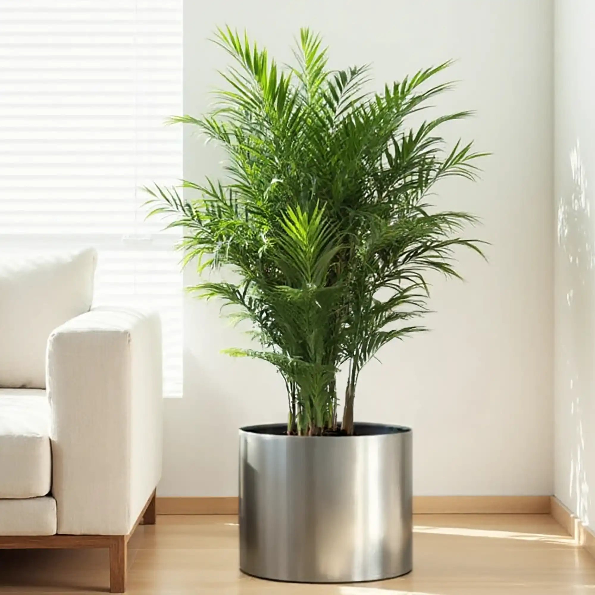 Superline Standard on Ring Round Indoor Planter