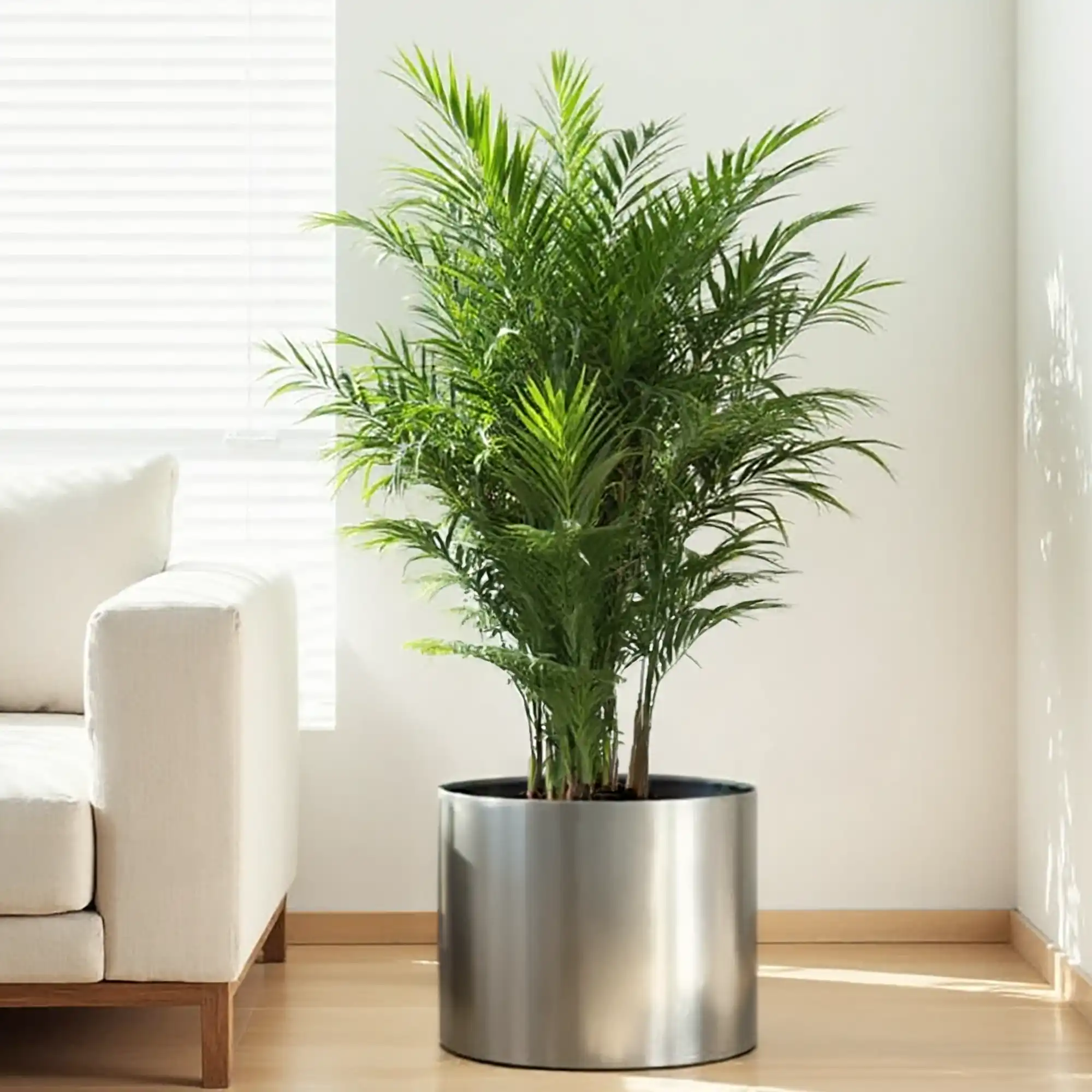 Superline Standard on Ring Round Indoor Planter