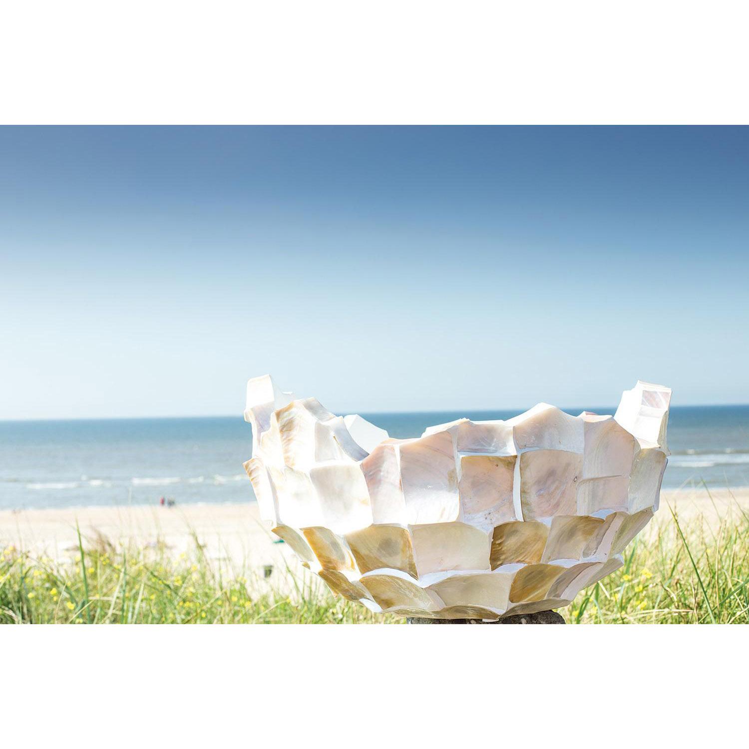 Shell Mother of pearl Bowl Polystone Indoor Planter