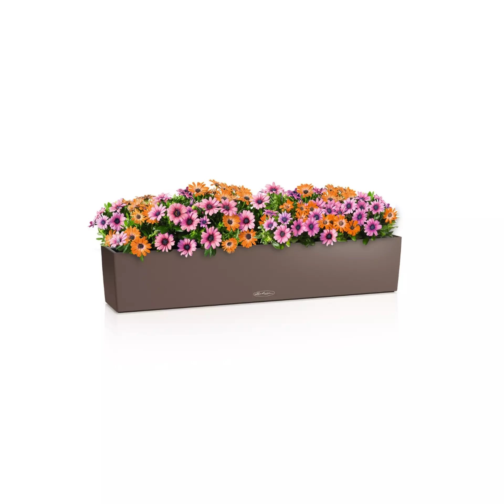 LECHUZA BALCONERA Color Trough Poly Resin Self-watering Planter