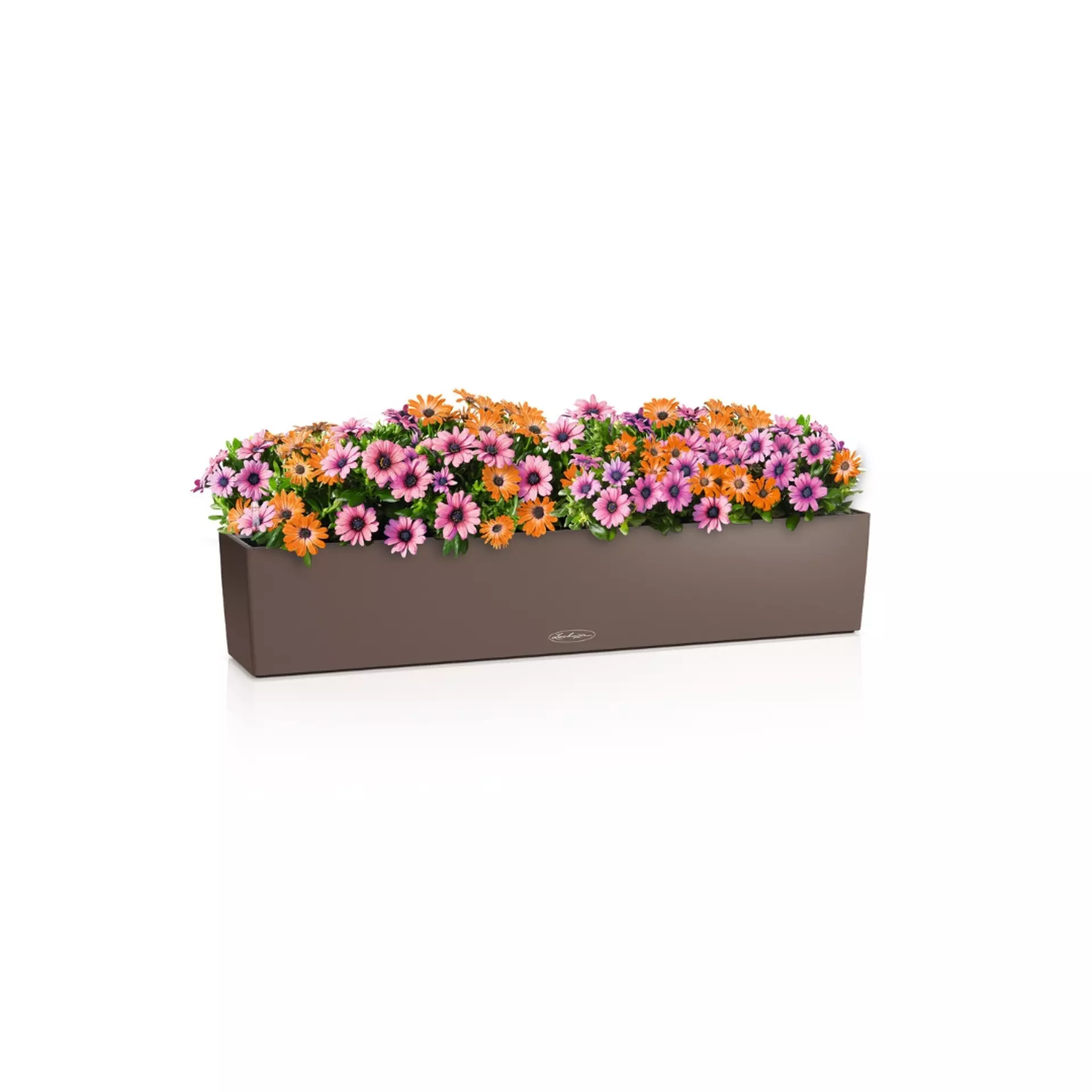 LECHUZA BALCONERA Color Trough Poly Resin Self-watering Planter