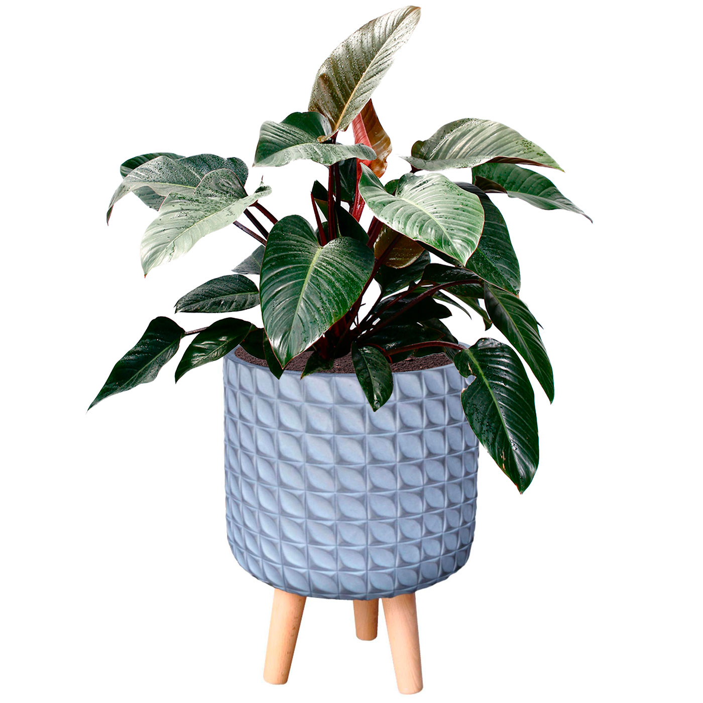 IDEALIST Lite Faceted Effect Planter on Legs