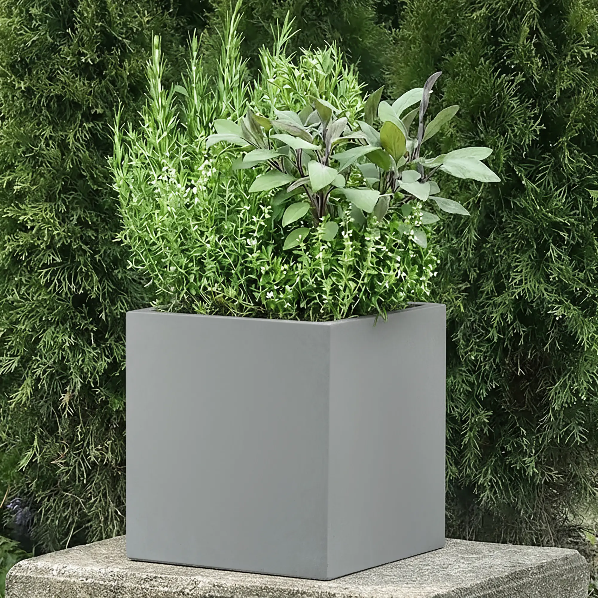 IDEALIST Lite Square Box Contemporary Light Concrete Planter
