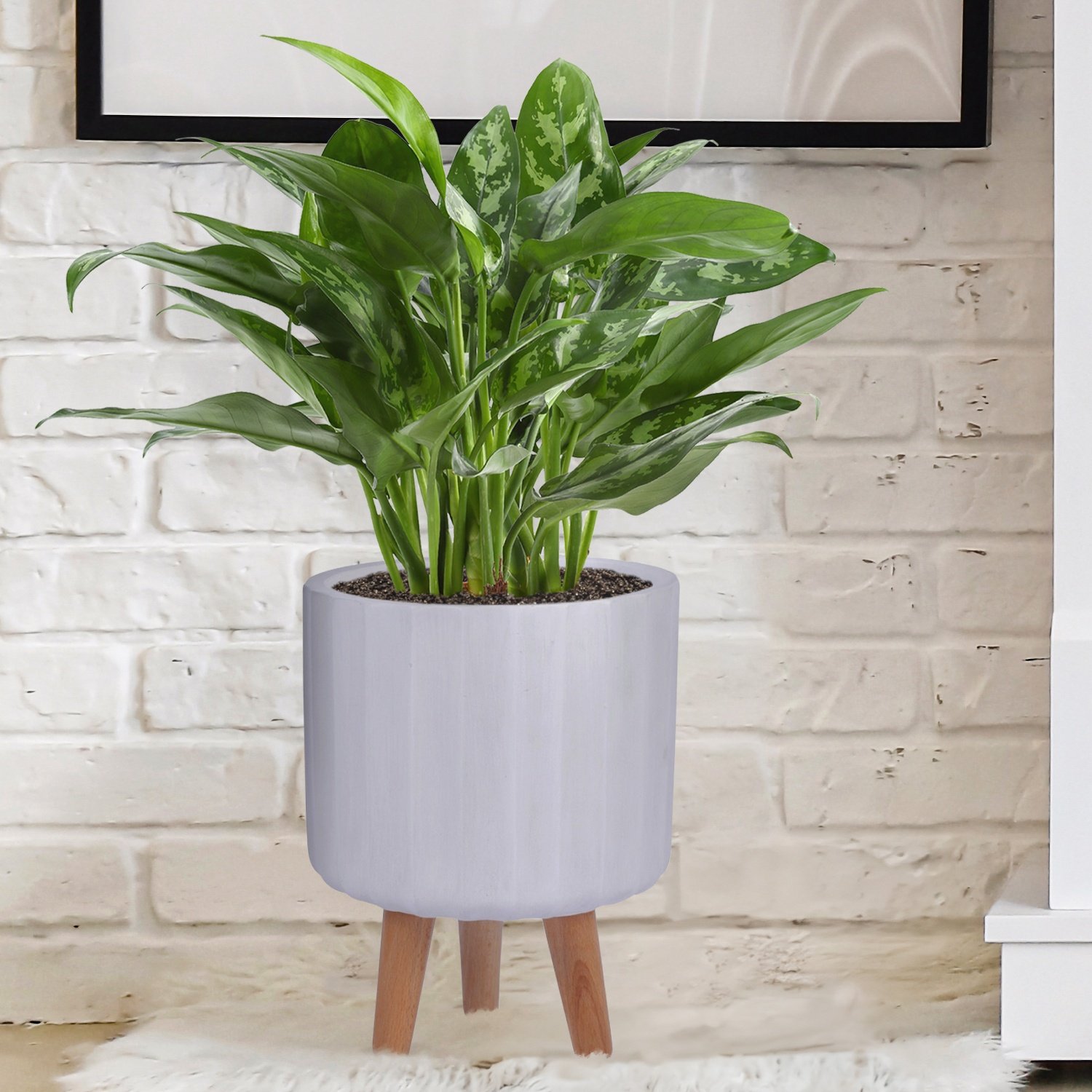 IDEALIST Lite Modern Ribbed Cylinder Planter on Legs, Round Pot Plant Stand Indoor