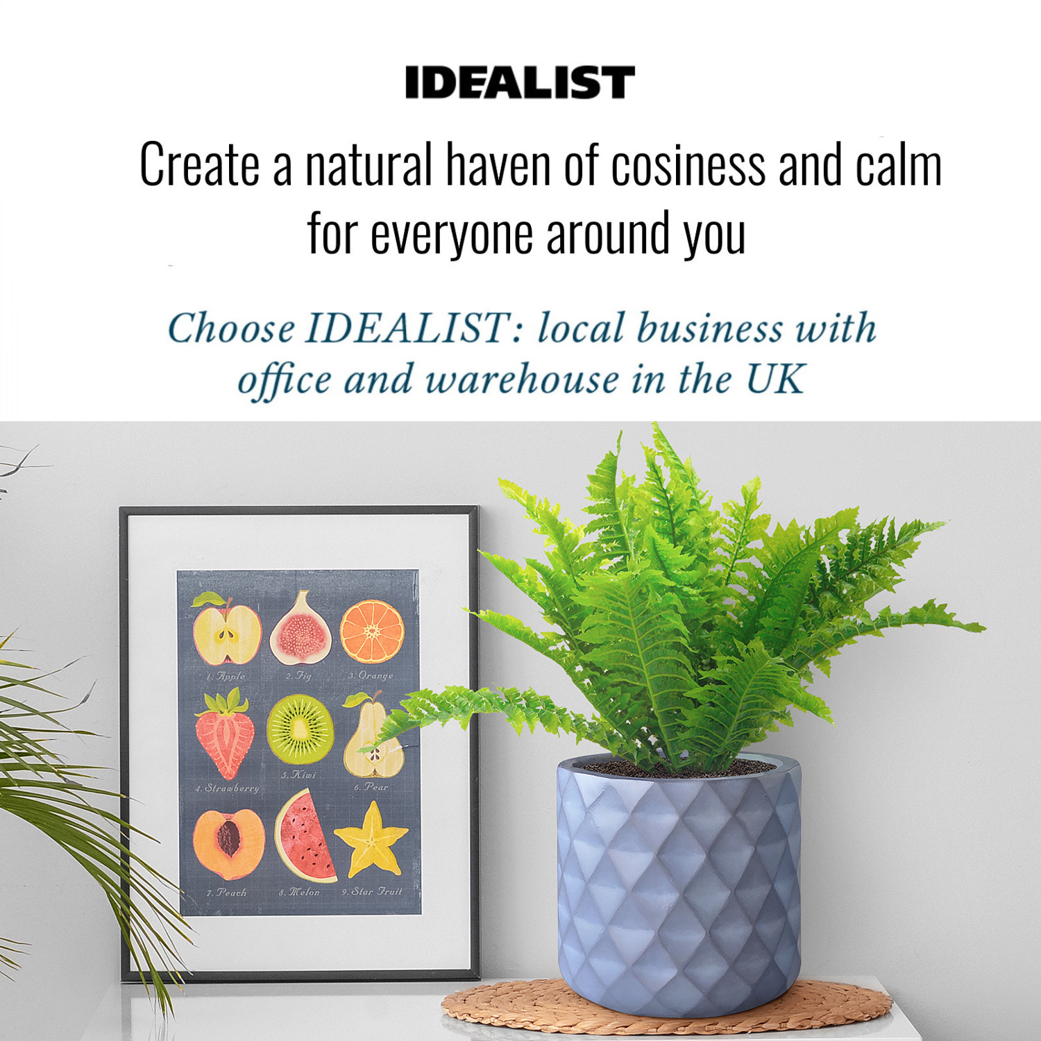 IDEALIST Lite Diamond Style Indoor Hanging Planter