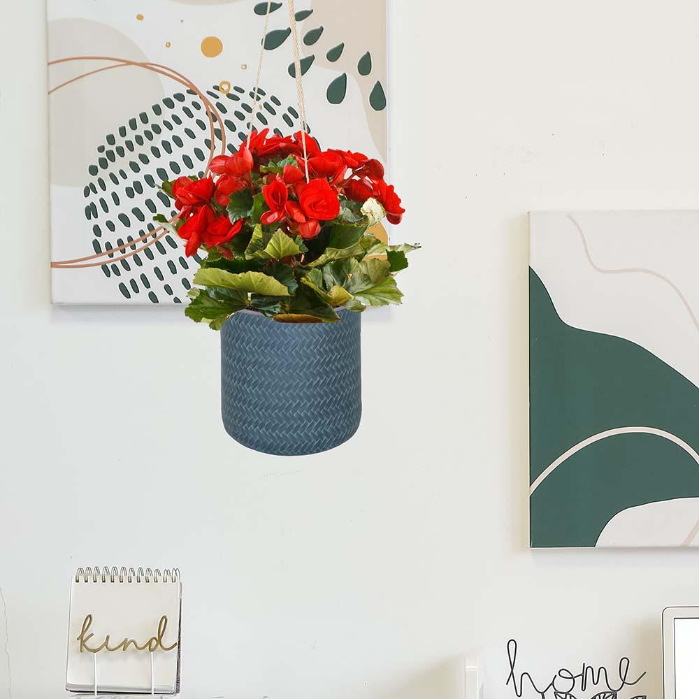 IDEALIST Lite Plaited Style Table and Hanging Cylinder Round Plant Pot Dual Use Indoor Planter