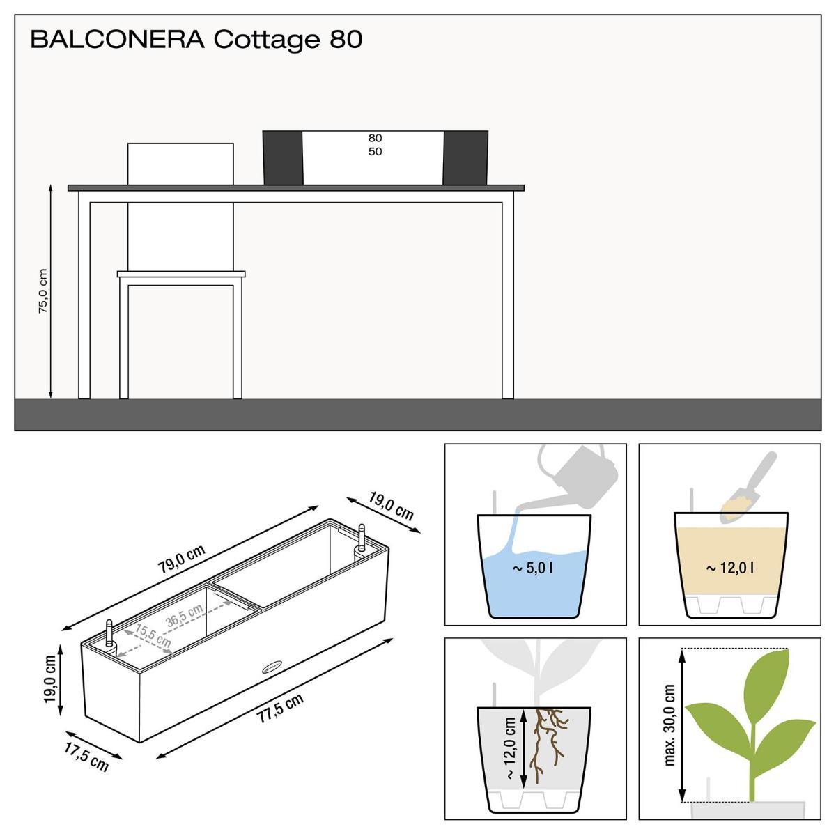 LECHUZA BALCONERA Cottage Trough Poly Resin Self-watering Planter
