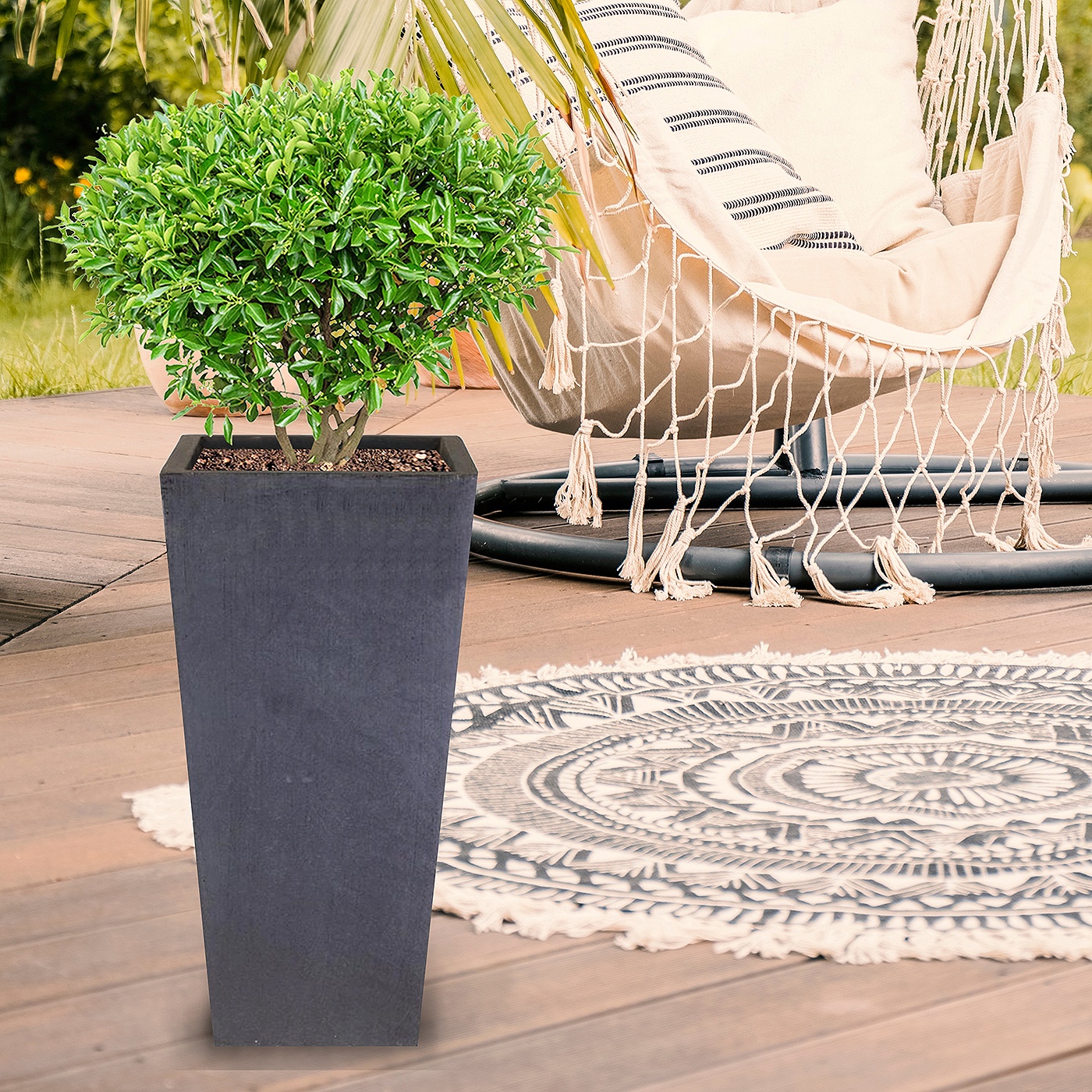 Orchid Plant Pots Orchid Plant Pots