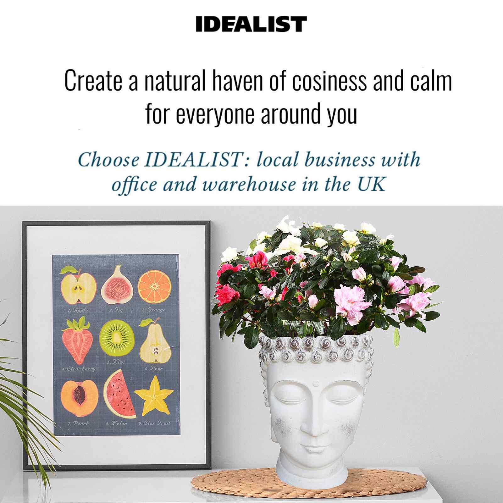 IDEALIST Lite Buddha Face Plant Pot Indoor