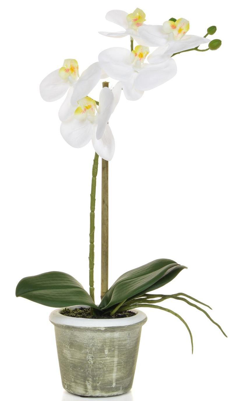 AN-Phalaenopsis Real Touch in Pot Artificial Flower Plant