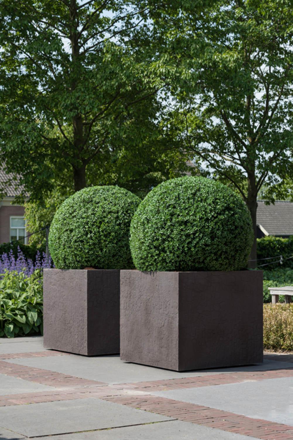 Fibrestone Jumbo Sundried Square Planter by Idealist Premium