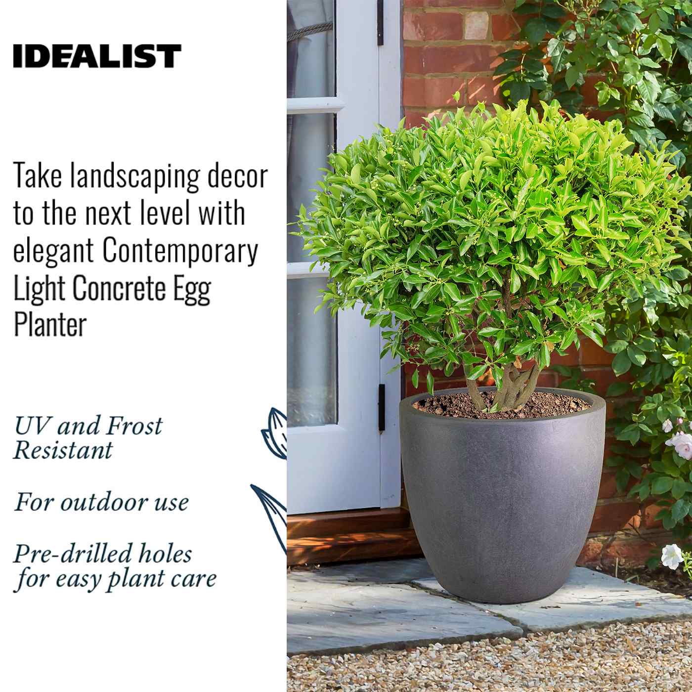 IDEALIST Lite Contemporary Light Concrete Egg Planter