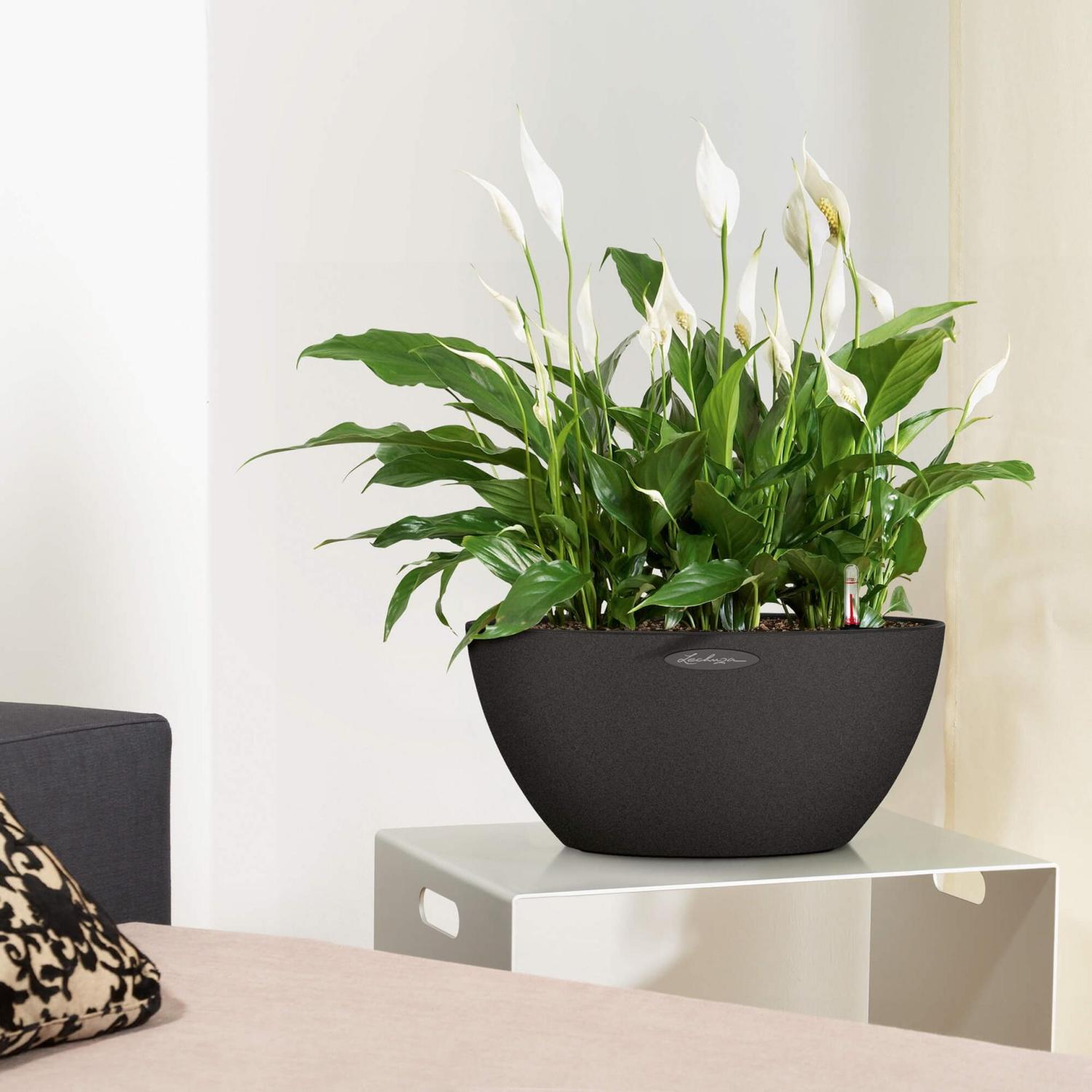 LECHUZA CUBETO COLOR Round Stone Look Poly Resin Self-watering Planter
