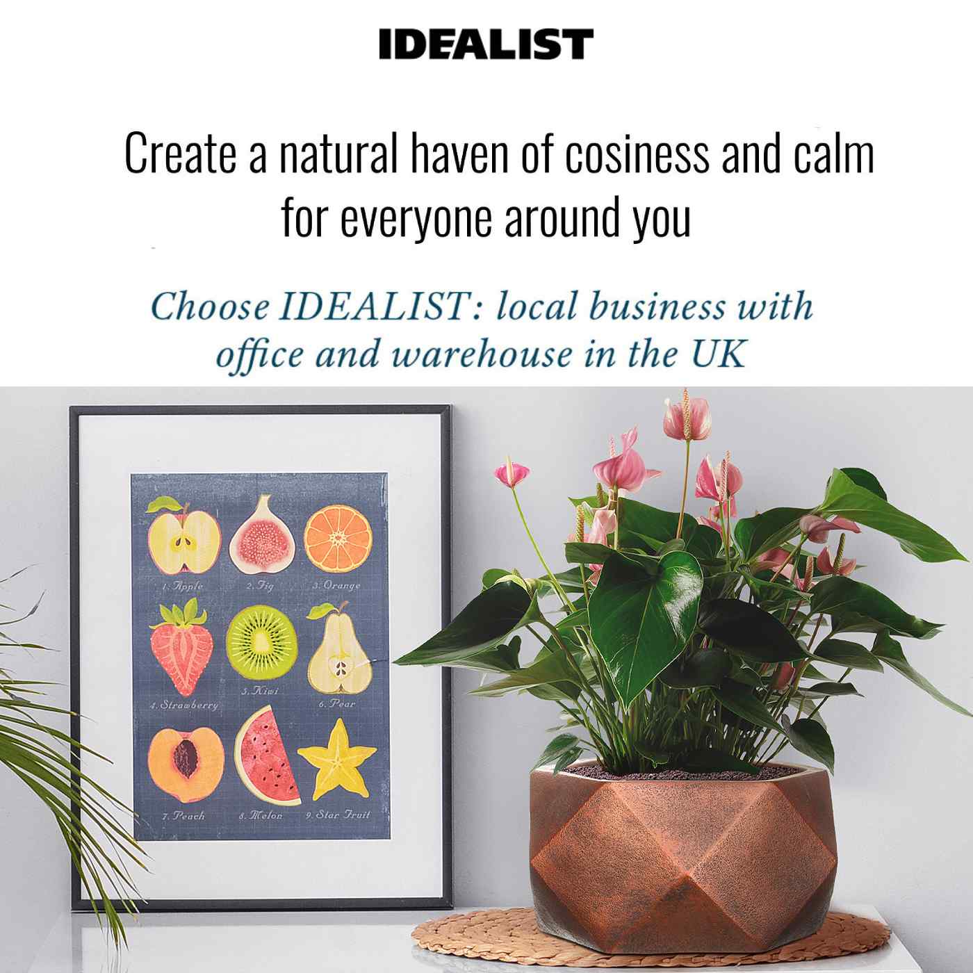 IDEALIST Lite Faceted Effect Bronze Bowl Planter Indoor Plant Pot