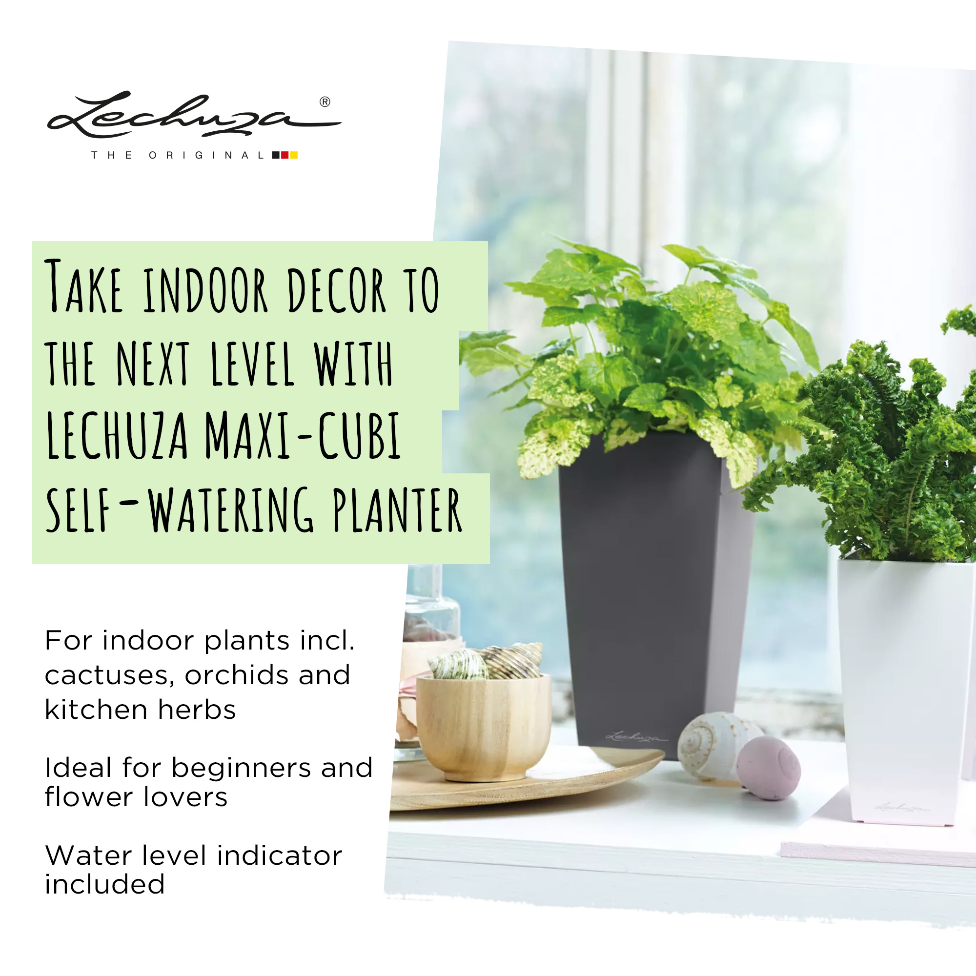 LECHUZA CUBI Square Poly Resin Indoor Self-watering Planter