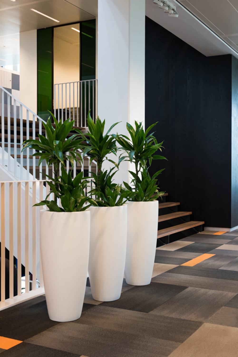 Fibrestone Dax Tall Planter by Idealist Premium