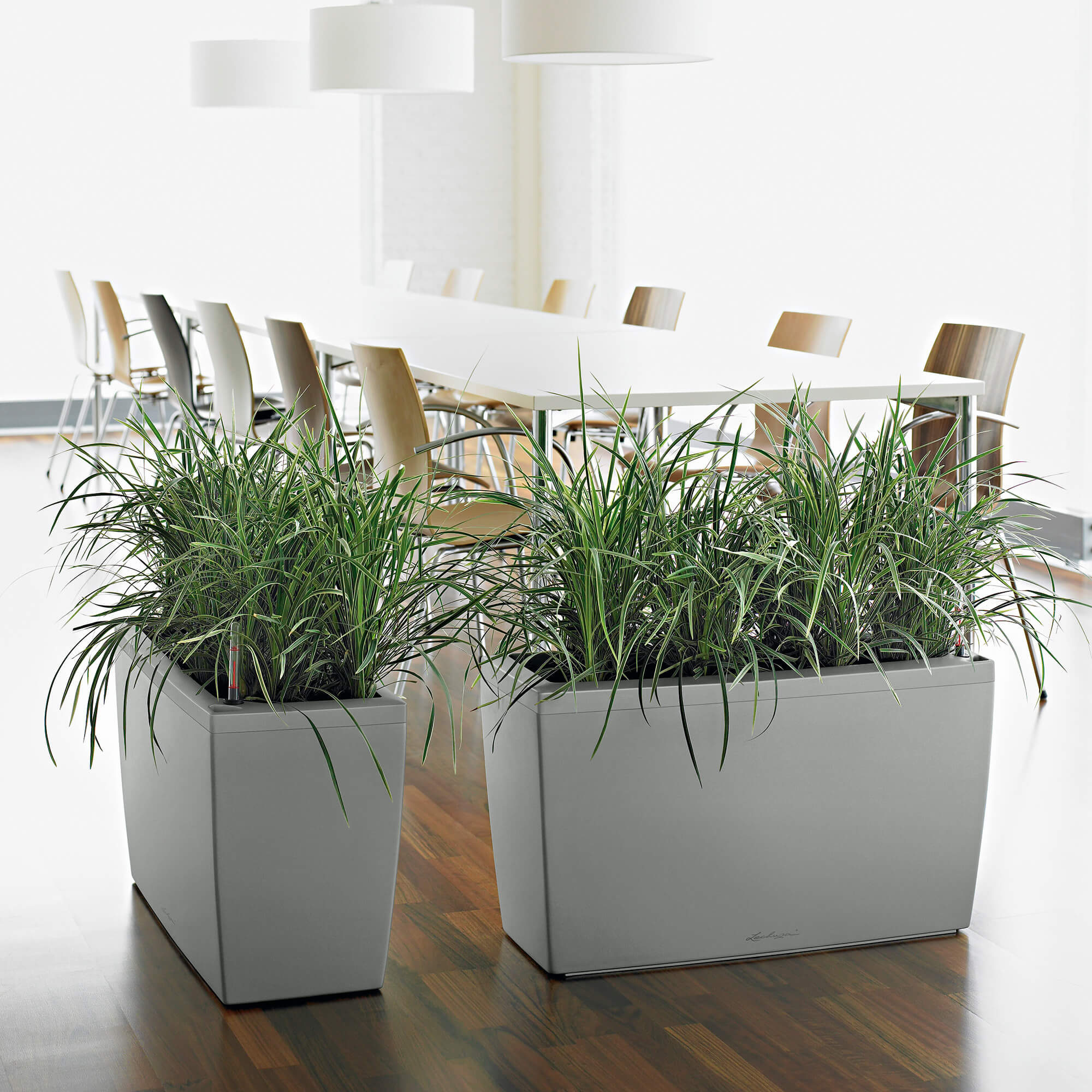 LECHUZA CARARO Trough Poly Resin Self-watering Planter