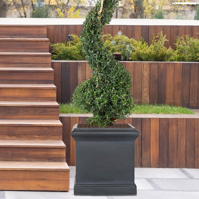 The Best Plants for a Small Kitchen The Best Plants for a Small Kitchen
