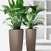 Plastic Planters Buying Guide