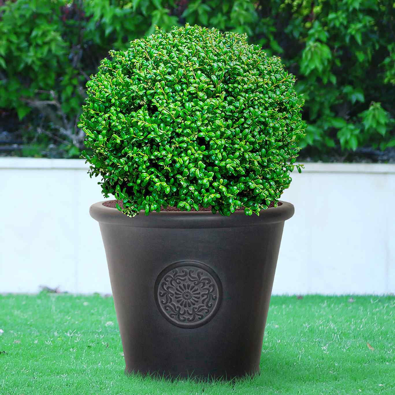 IDEALIST Lite Rustic Style Rolled Rim Wide Vase Outdoor Planter