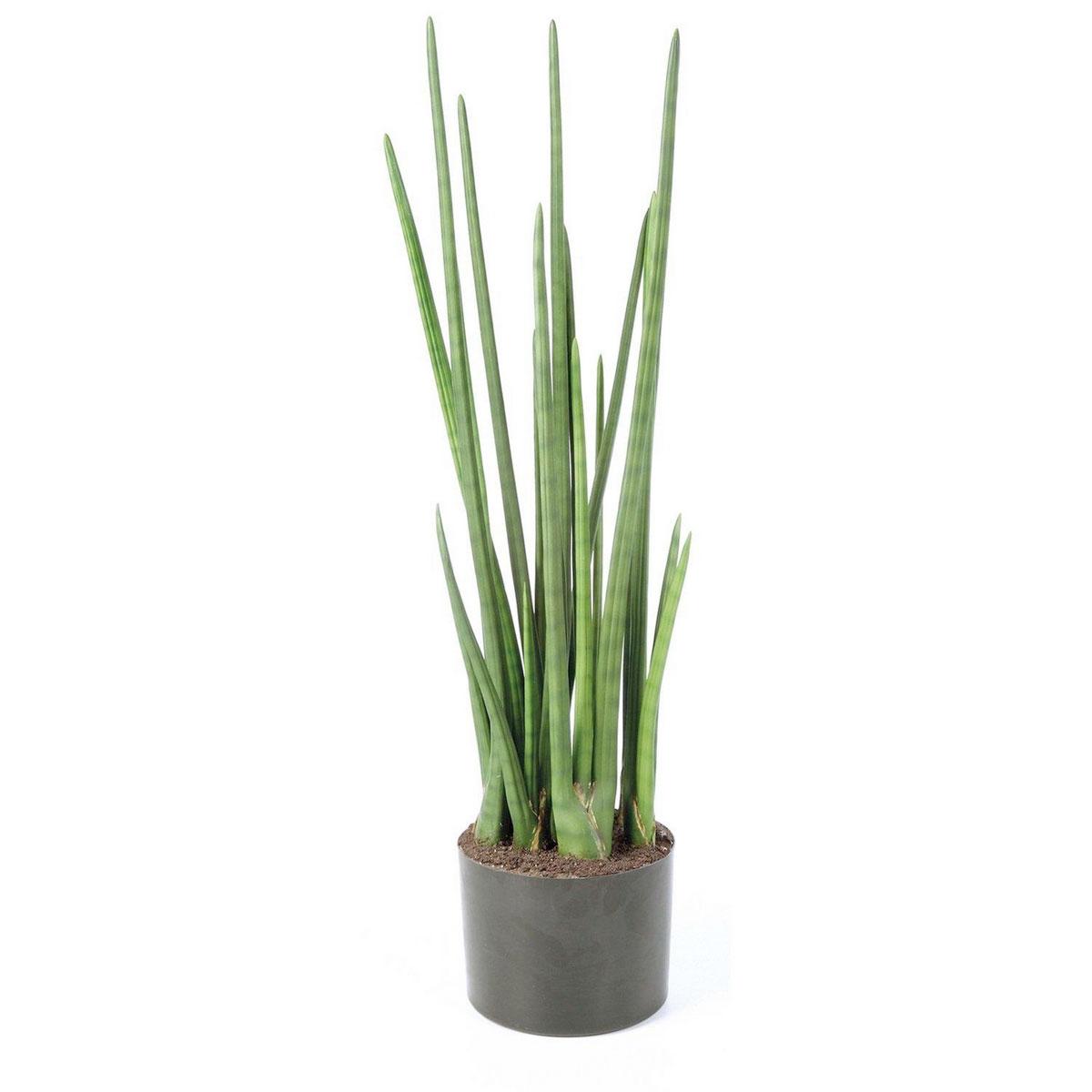 SANSEVIERIA CYLINDRICA Artificial Flower Plant