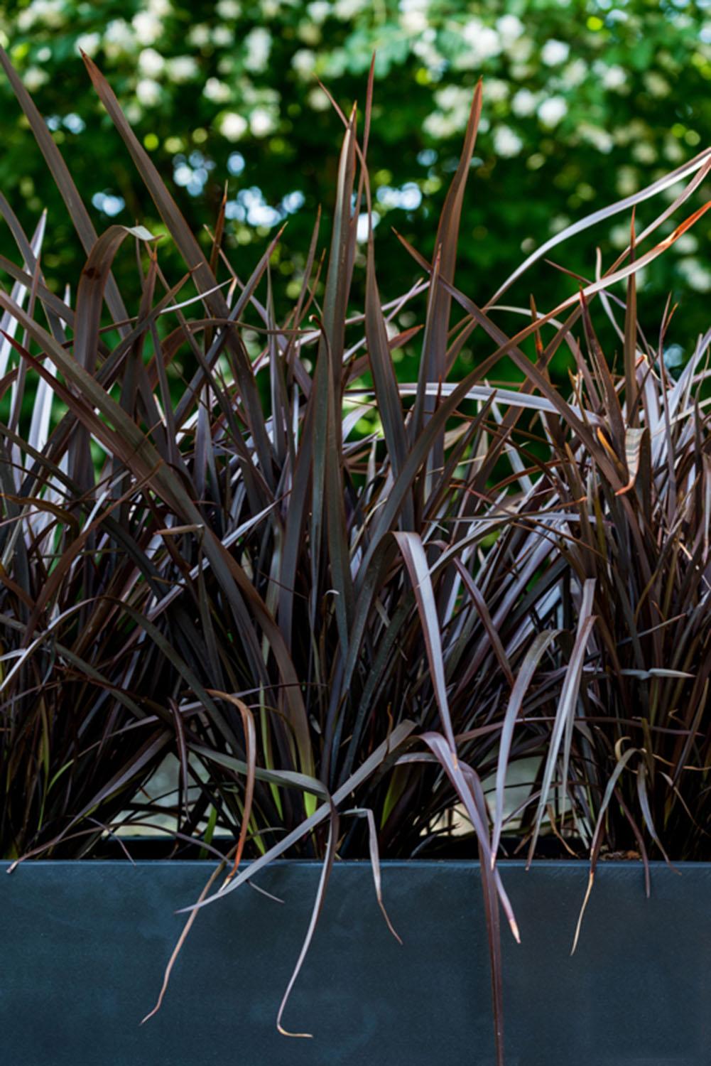 Raised Fiberstone Trough Planter by Idealist Premium JORT