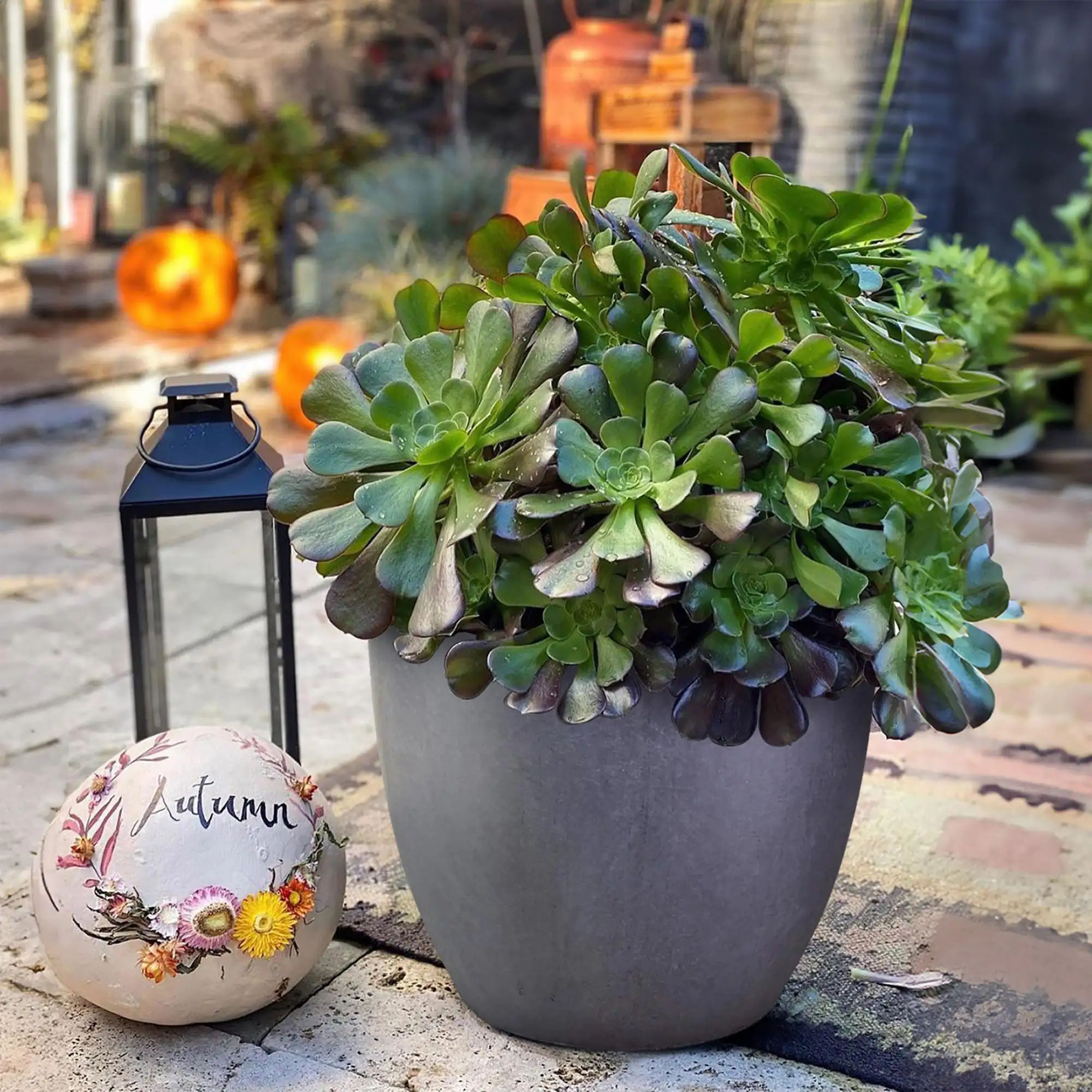 IDEALIST Lite Contemporary Light Concrete Egg Planter