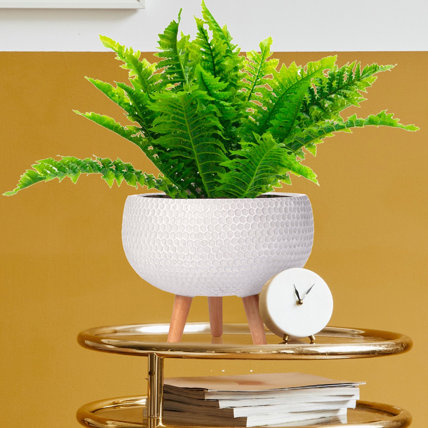 IDEALIST Lite Honeycomb Style Bowl Planter on Legs, Round Pot Plant Stand Indoor