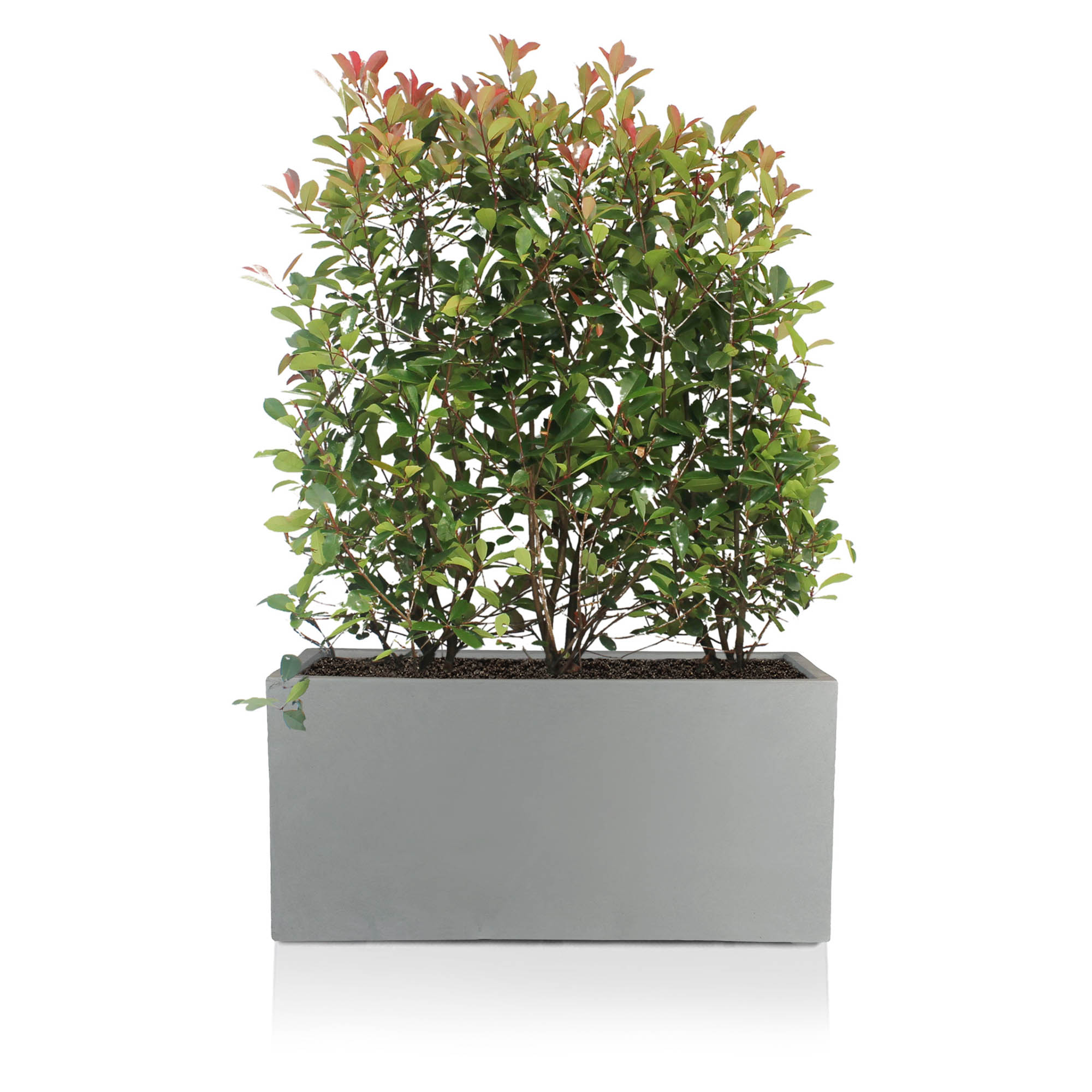 IDEALIST Lite Contemporary Light Concrete Trough Planter Set