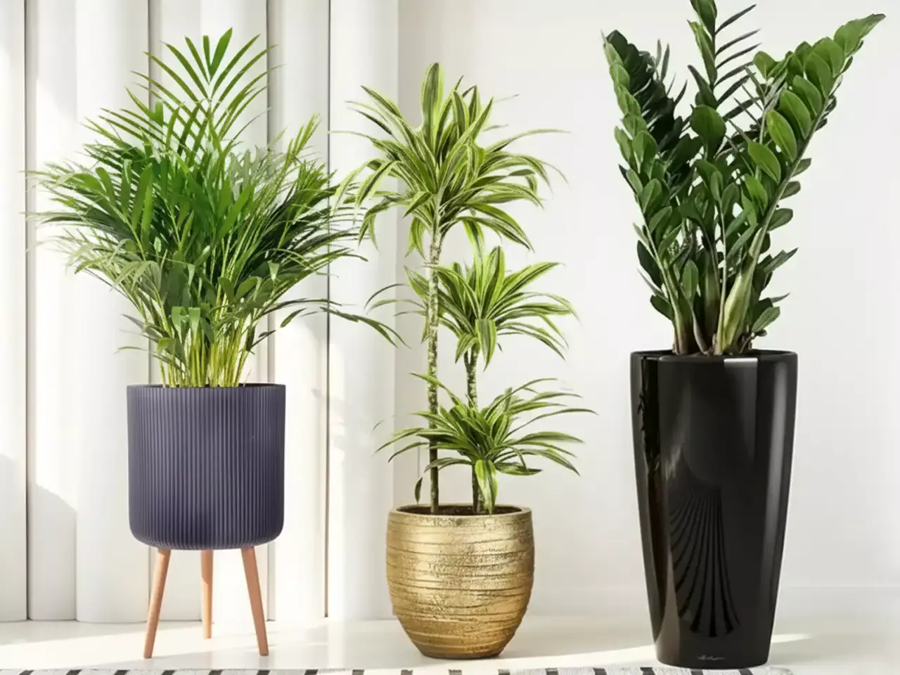 Buy garden flower plant pots, planters online from GetPotted
