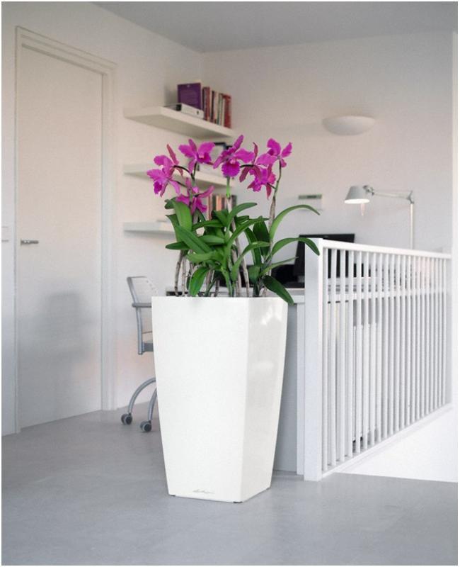 LECHUZA CUBICO Square Tall Poly Resin Self-watering Planter