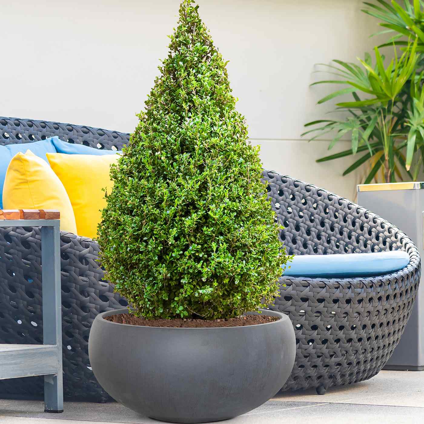 IDEALIST Lite Classic Smooth Bowl Outdoor Planter