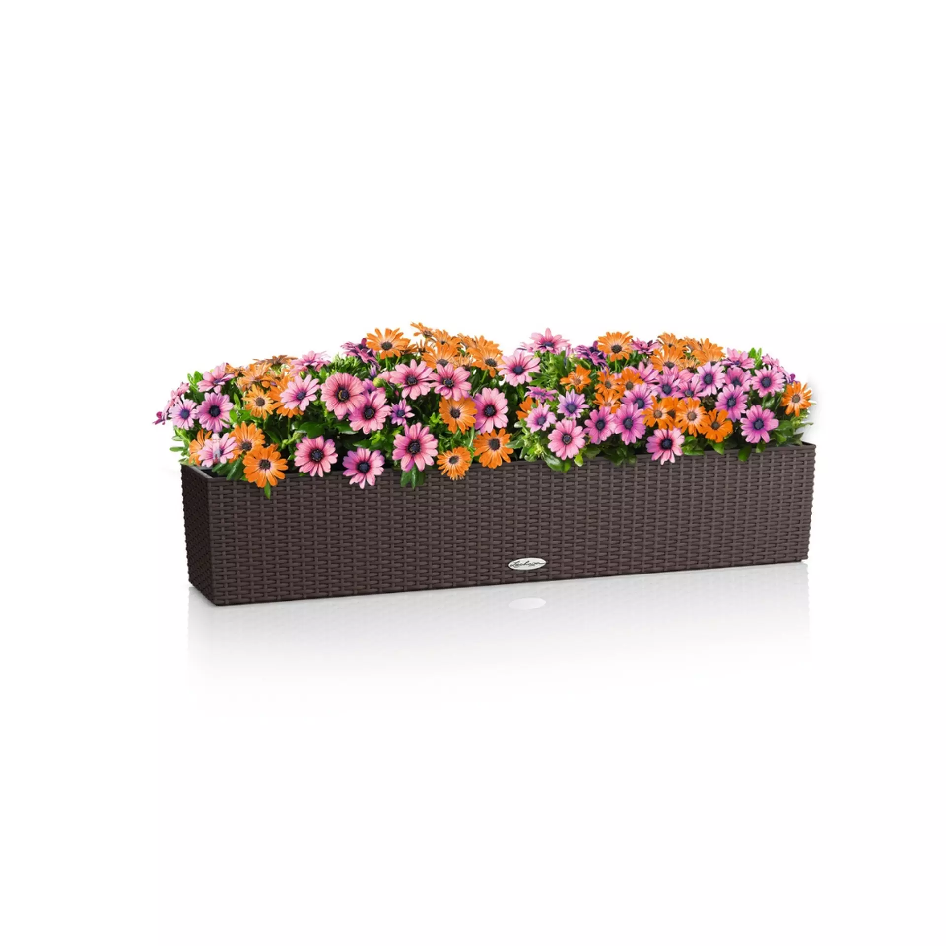LECHUZA BALCONERA Cottage Trough Poly Resin Self-watering Planter