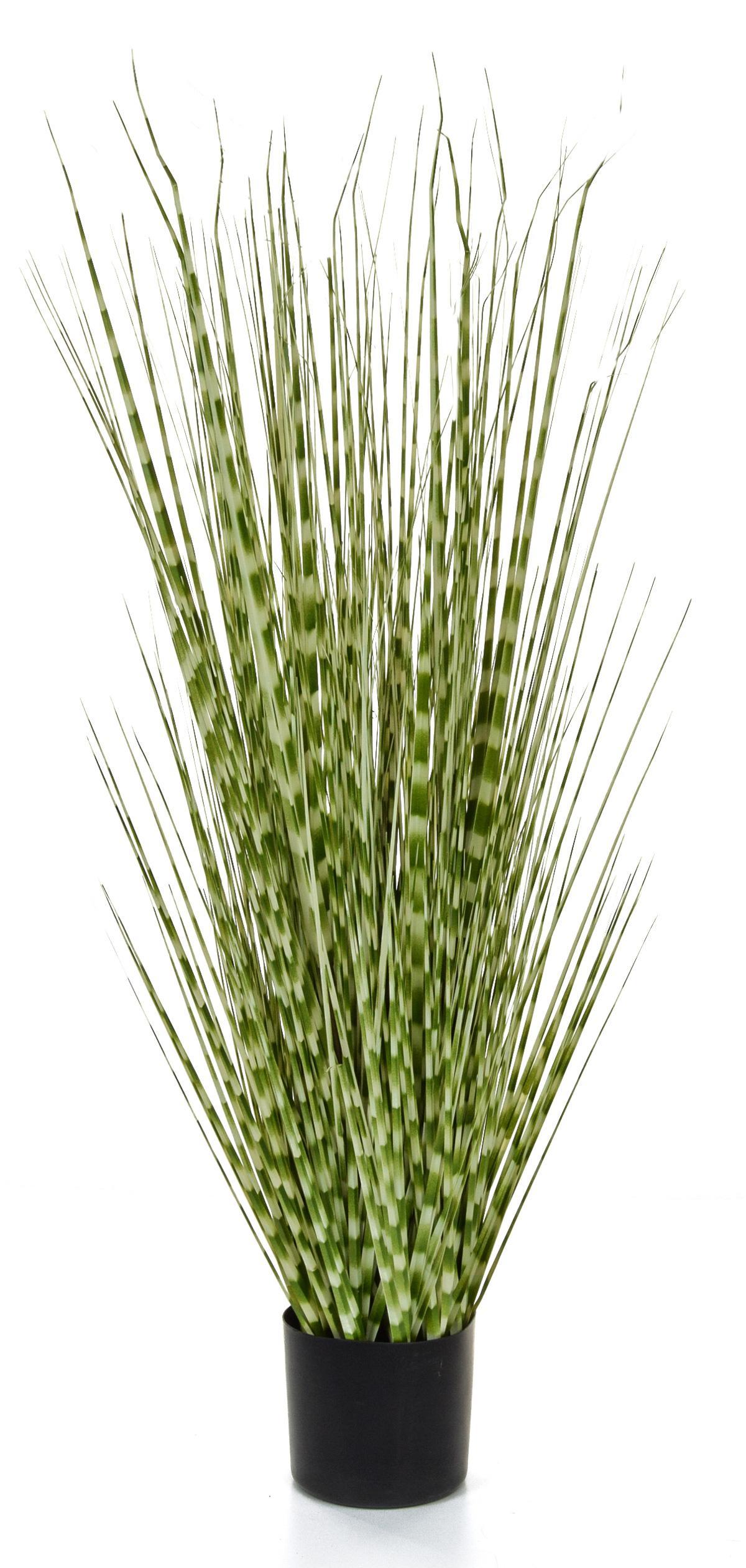 Zebra with pot Artificial Grass Plant