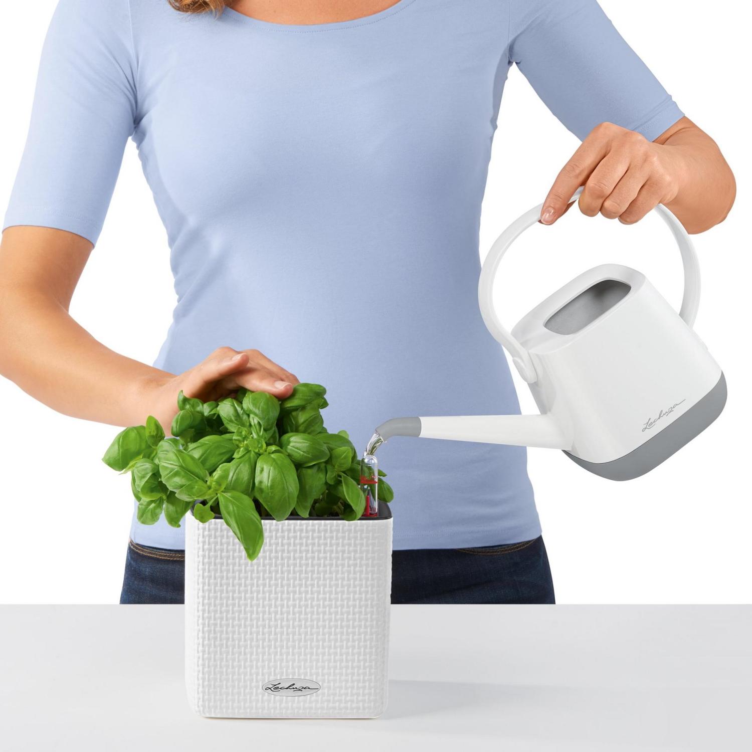 LECHUZA CUBE Color Square Poly Resin Indoor Self-watering Planter