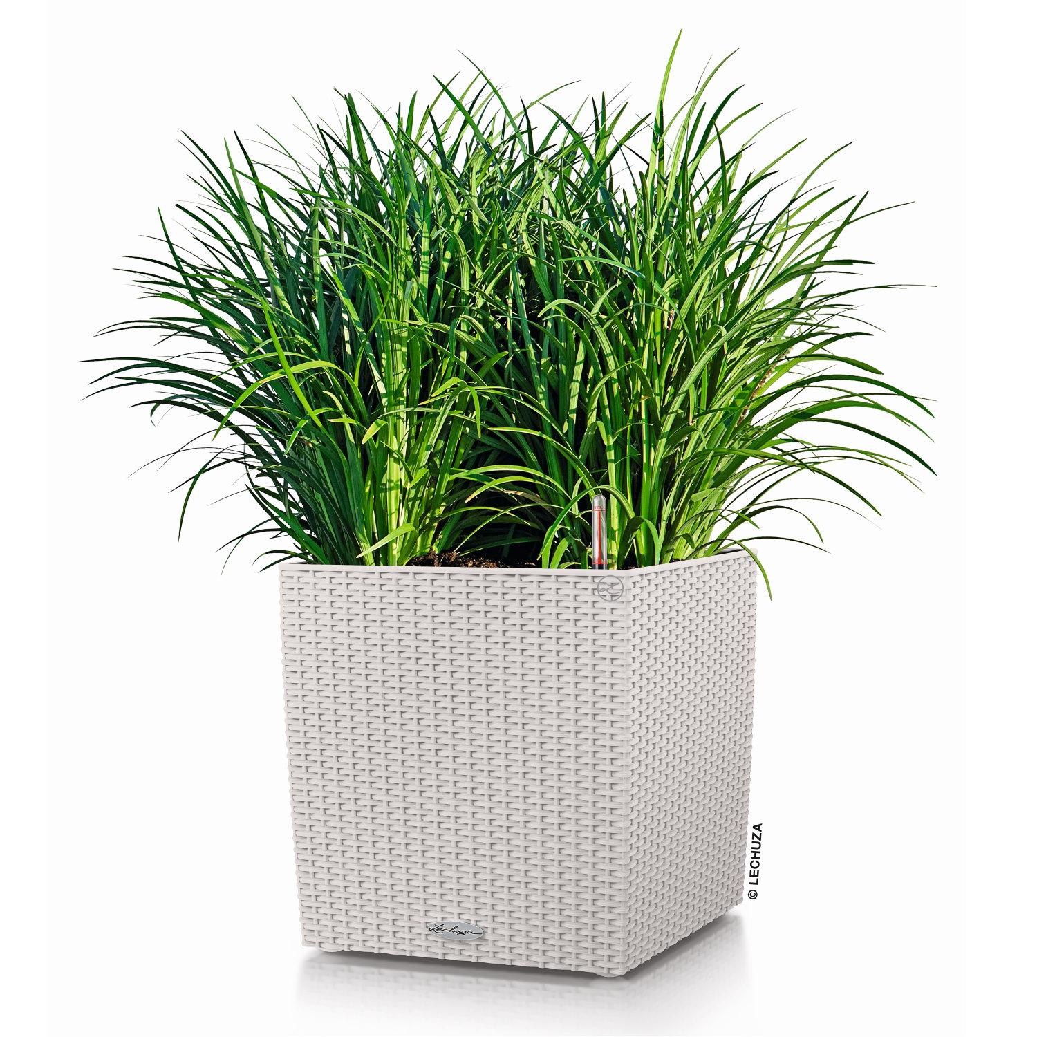 LECHUZA CUBE Cottage Square Poly Resin Self-watering Planter