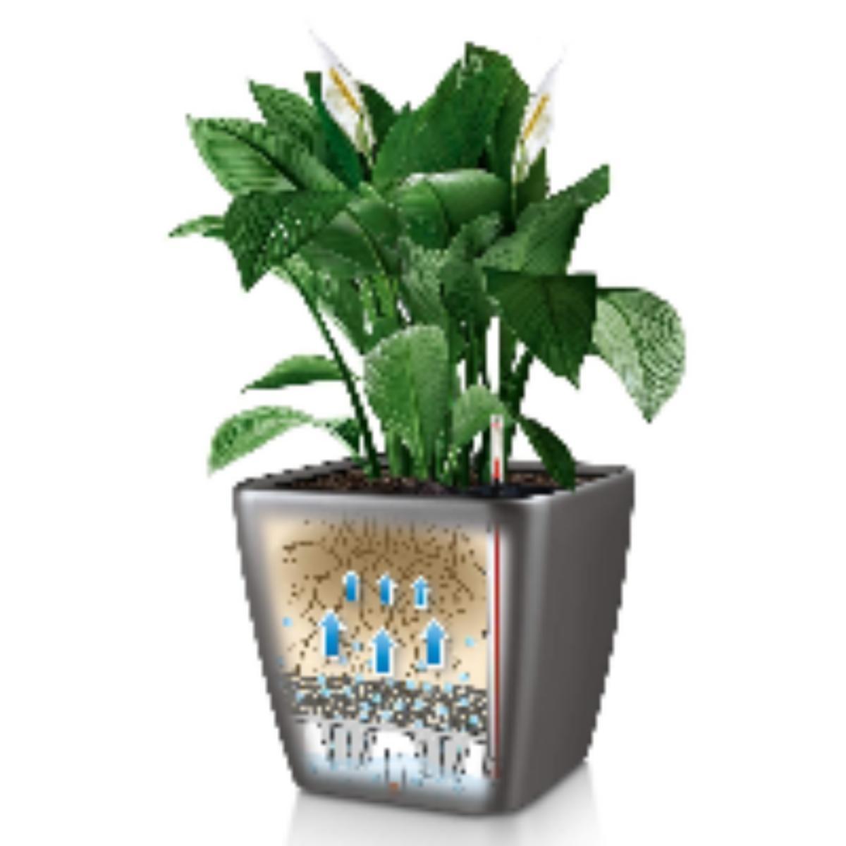 LECHUZA Quadro LS Square Poly Resin Self-watering Planter