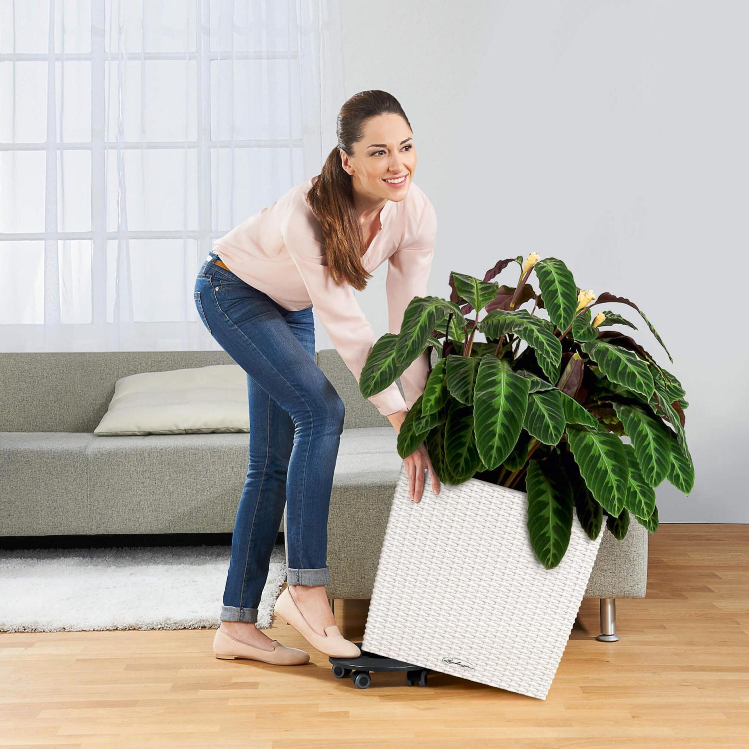 LECHUZA CUBE Cottage Square Poly Resin Self-watering Planter