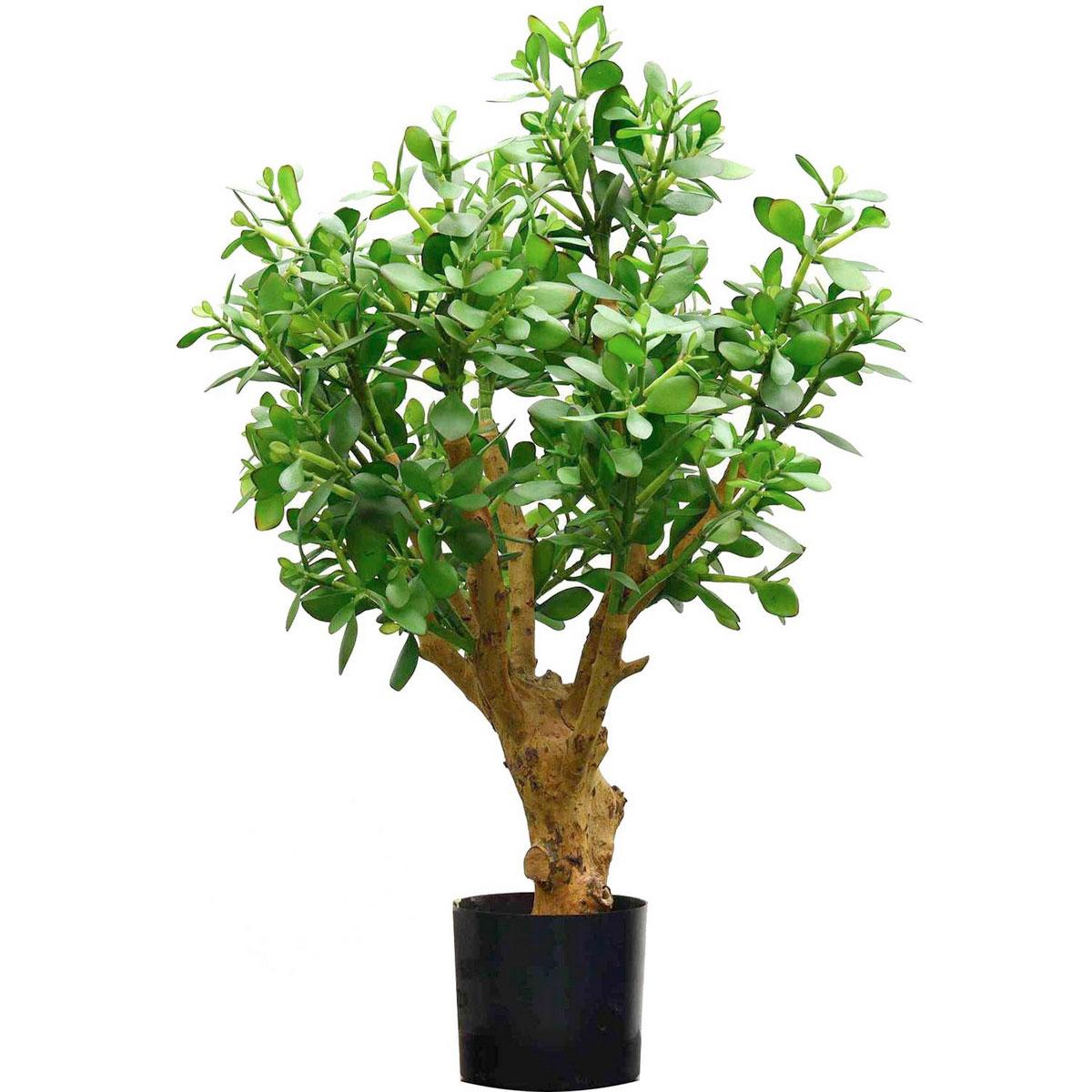 CRASSULA OVATA Artificial Tree Plant
