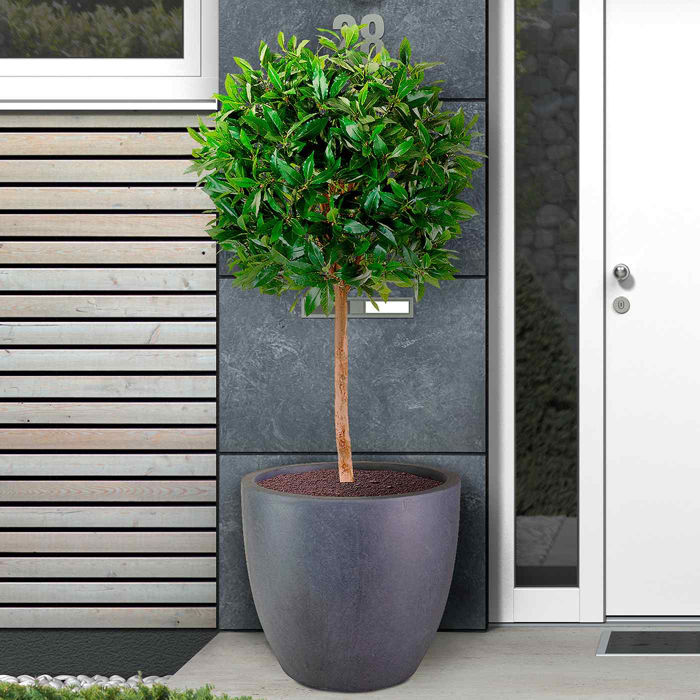 IDEALIST Lite Contemporary Light Concrete Egg Planter