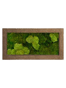 Moss Painting Rock Rectangle