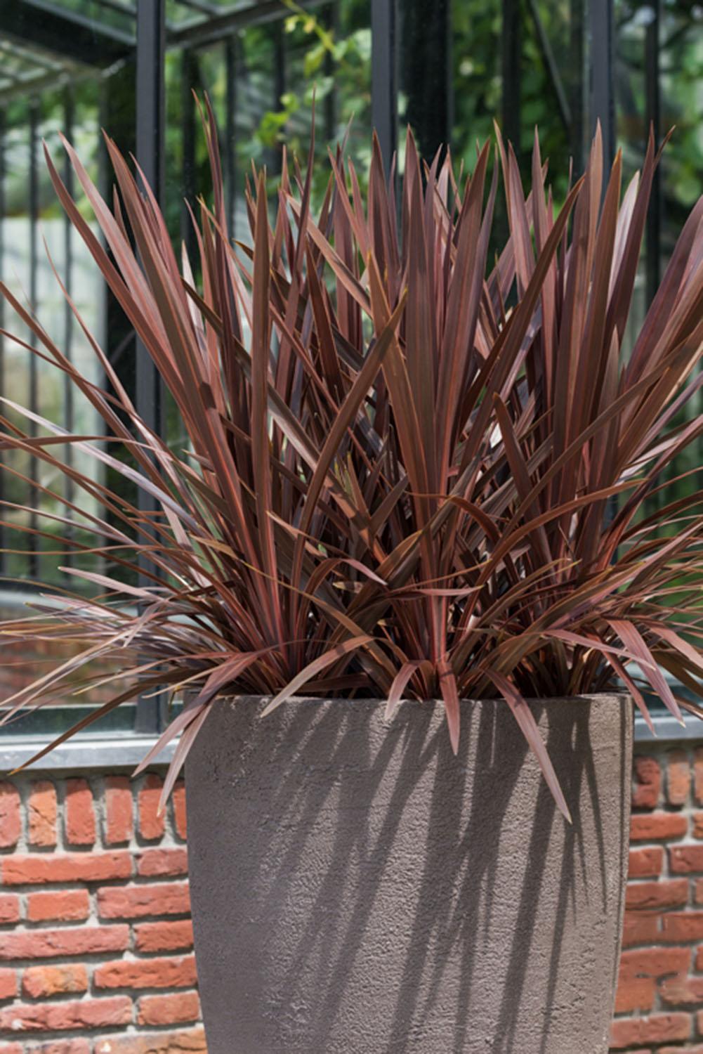 Fibrestone Ben Tall Planter by Idealist Premium