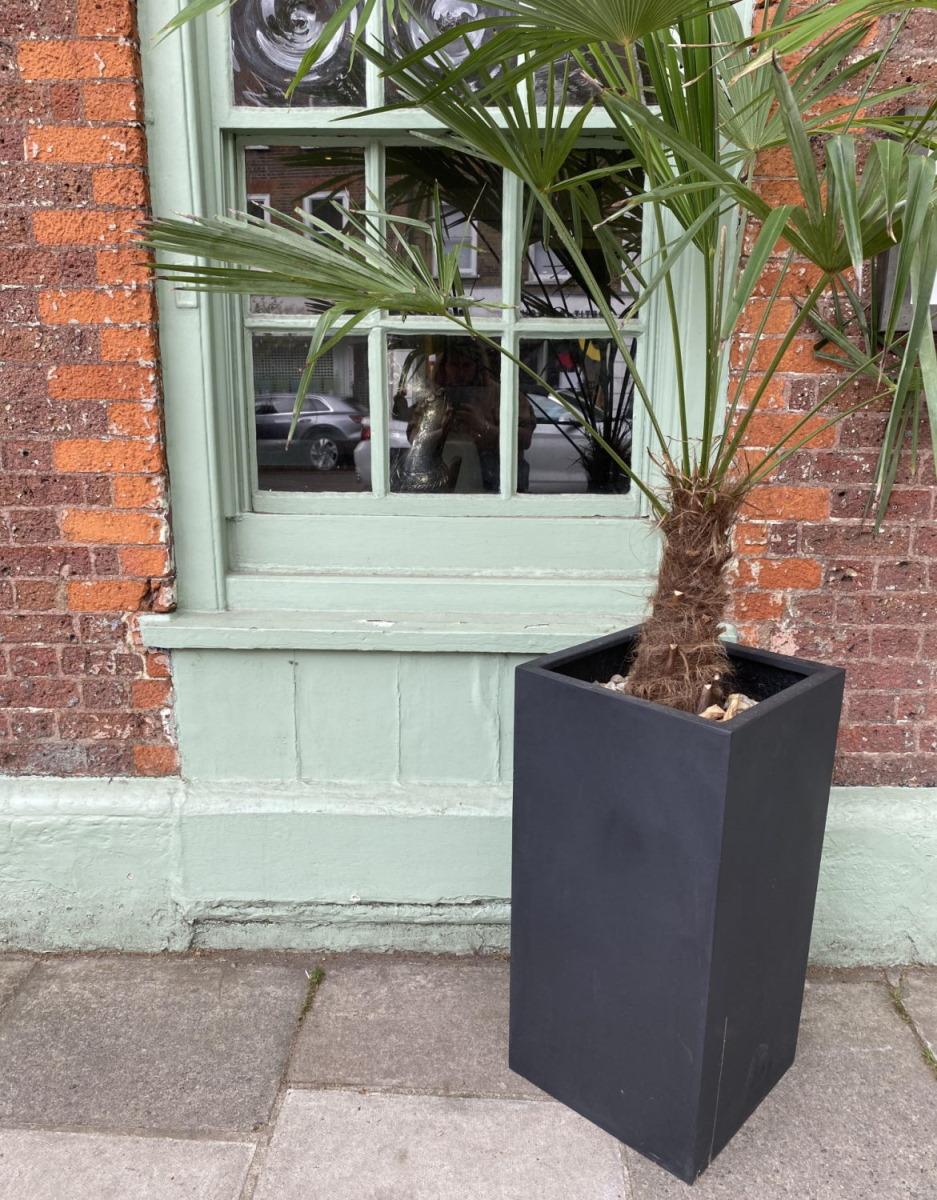 Tall Fiberstone Square Planter by Idealist Premium BOUVY