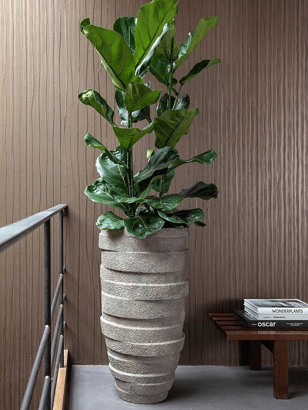 Luxe Lite Stone Varuna Tall Indoor Planter