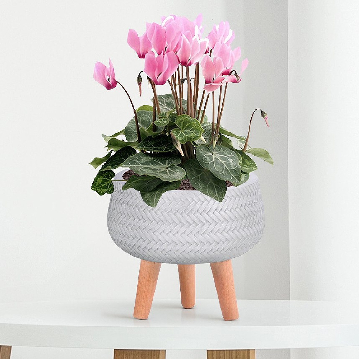 IDEALIST Lite Plaited Style Bowl Planter on Legs, Round Pot Plant Stand Indoor